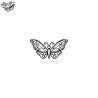 Tatouage éphémère motif papillon élégant danse légère de l’âme