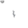 Tatouage éphémère motif branche