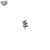 Tatouage éphémère motif petite branche