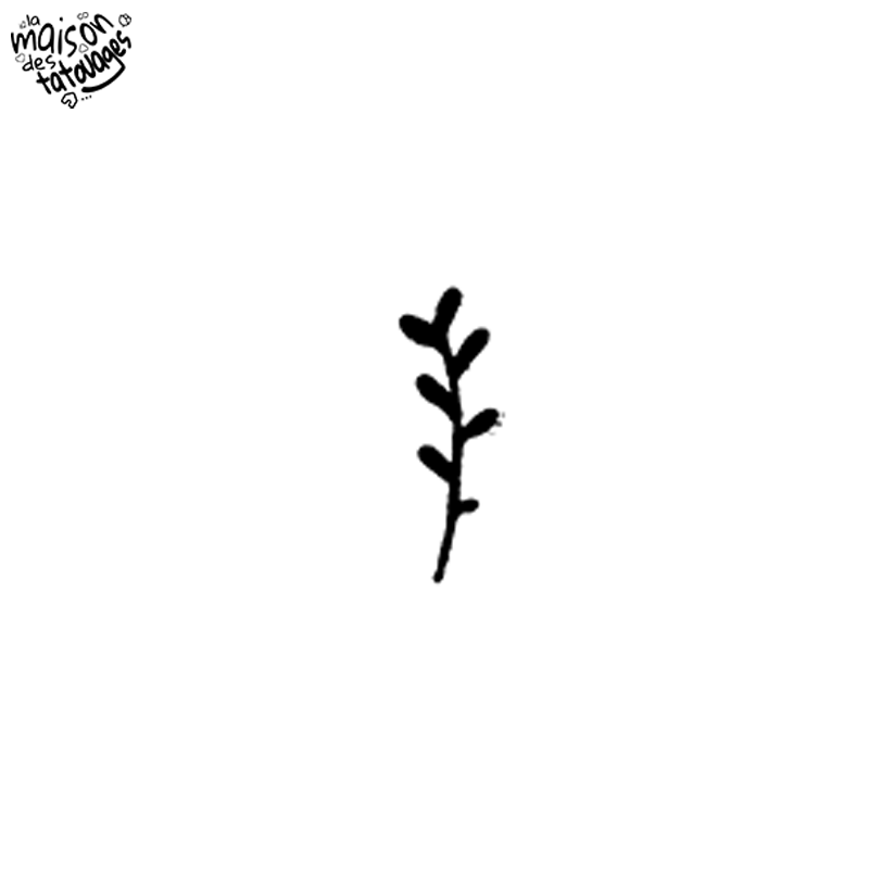 Tatouages éphémères fins : sauge