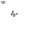 Tatouage éphémère papillon ultra définis avec une touche de noir intense